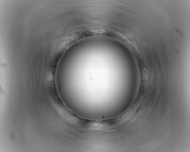X0000090960614200708091356