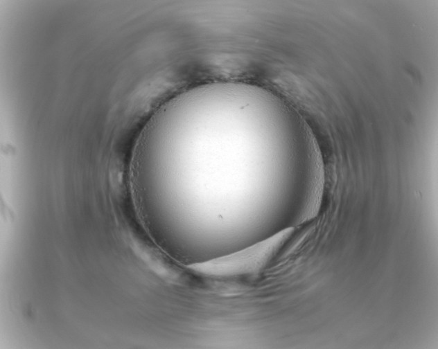 X0000090960615200708091356