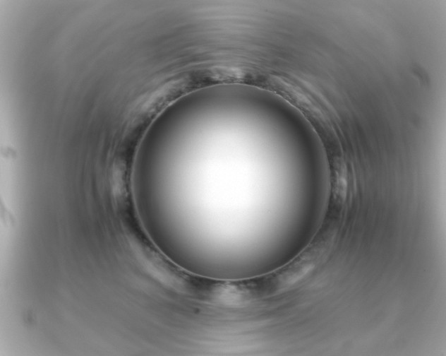 X0000090960616200708091356