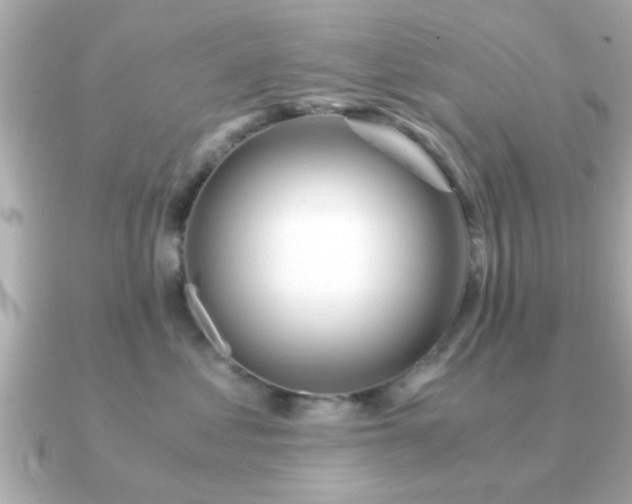 X0000090960621200708091355