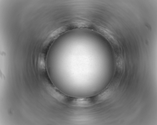 X0000090960622200708091355