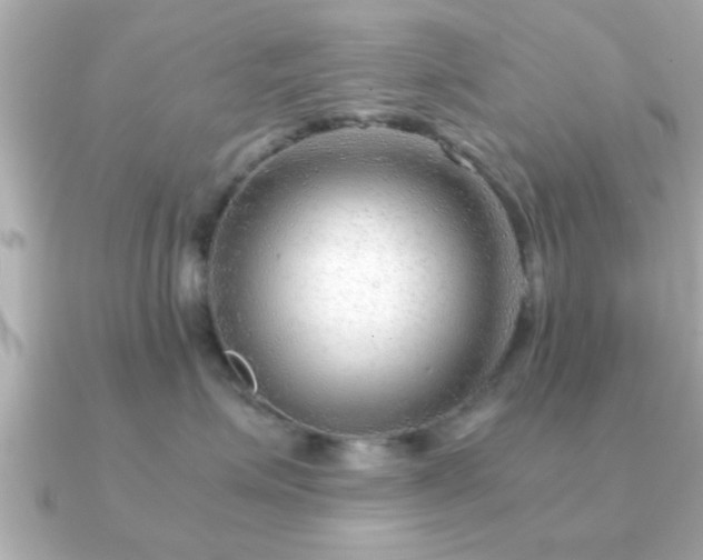 X0000090960623200708091355