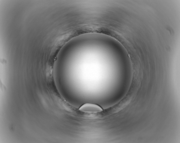 X0000090960624200708091355