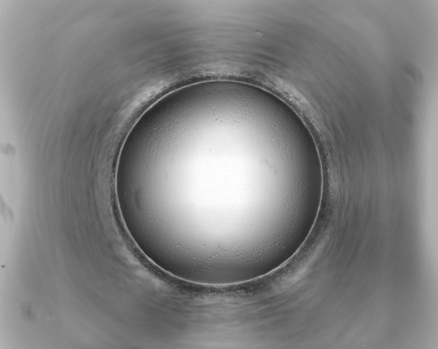 X0000090960625200708091355