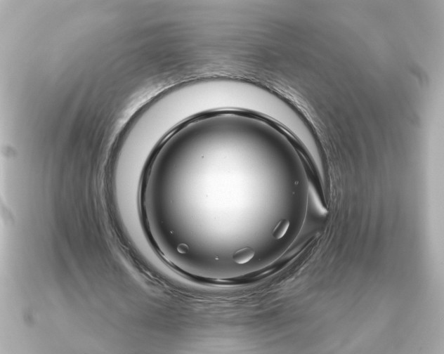X0000090960626200708091355