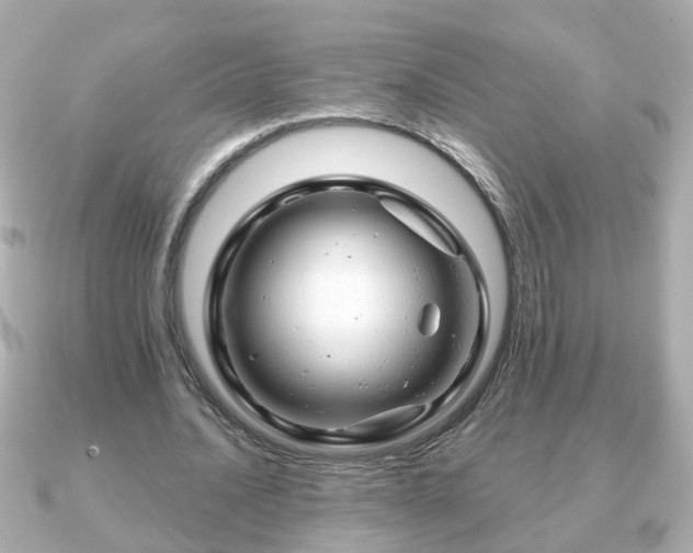 X0000090960628200708091355