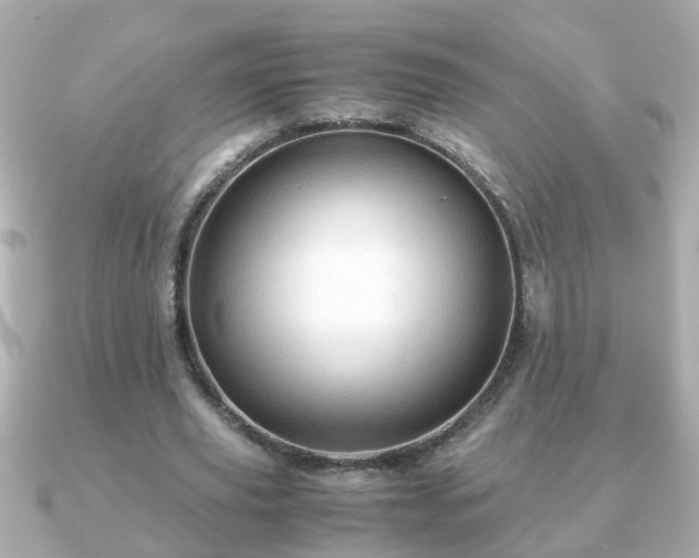 X0000090960629200708091355