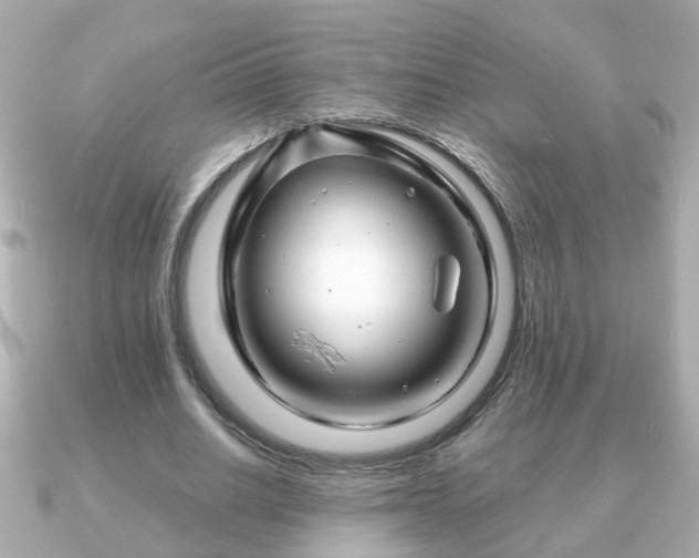 X0000090960630200708091355