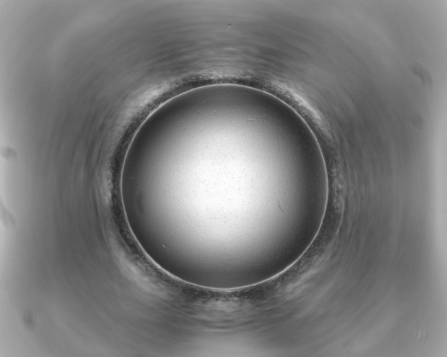 X0000090960631200708091355