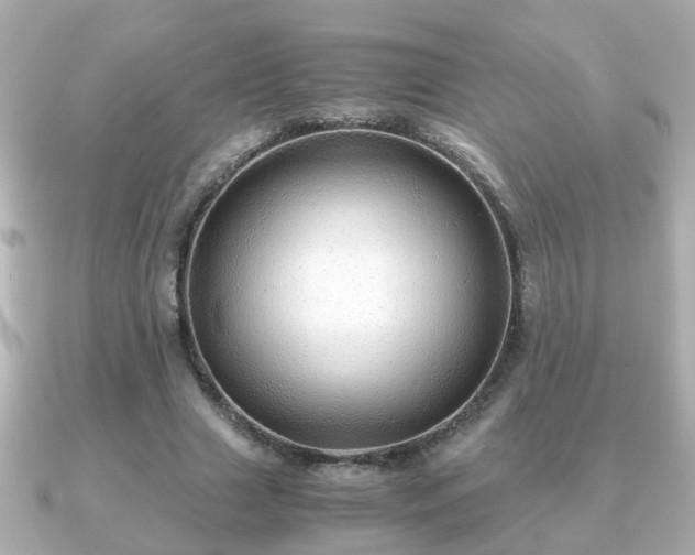 X0000090960633200708091355