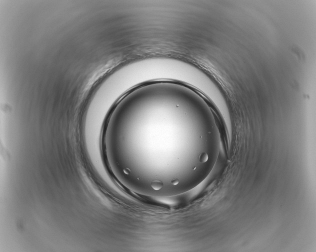 X0000090960634200708091355