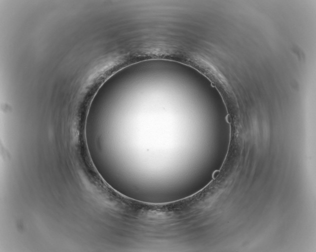 X0000090960635200708091355