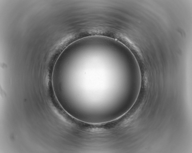 X0000090960637200708091355