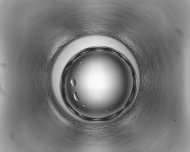 X0000090960638200708091355