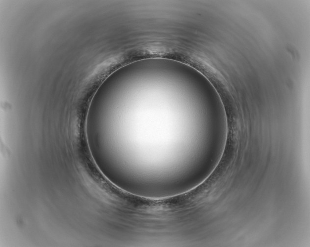 X0000090960639200708091355