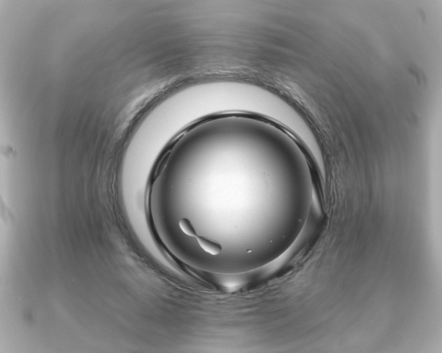 X0000090960640200708091355