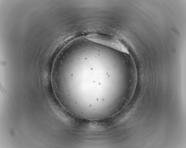 X0000090960641200708091355