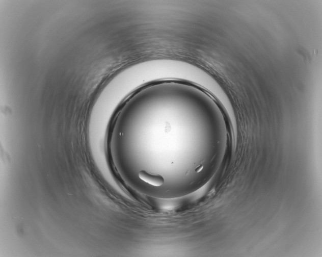 X0000090960642200708091355