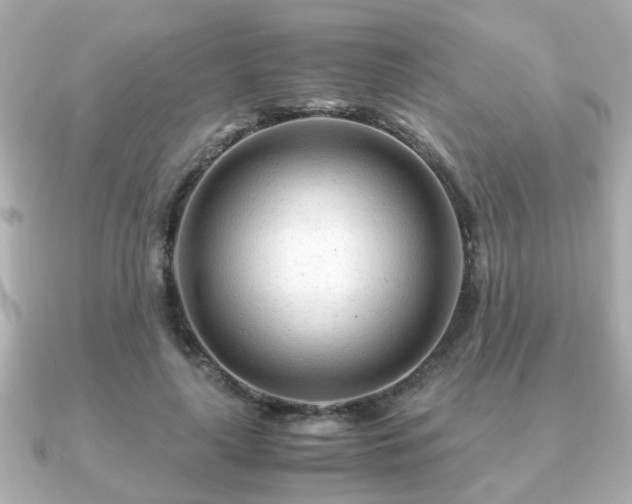 X0000090960643200708091355