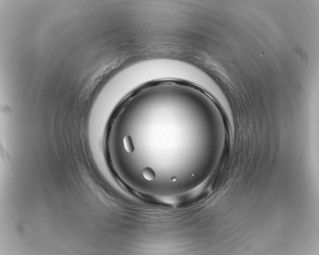 X0000090960644200708091355