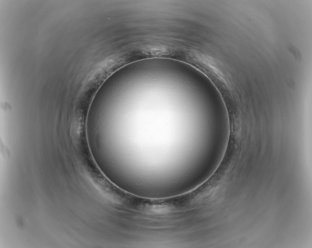 X0000090960645200708091355