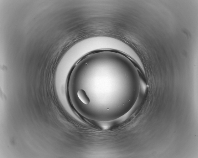 X0000090960646200708091355