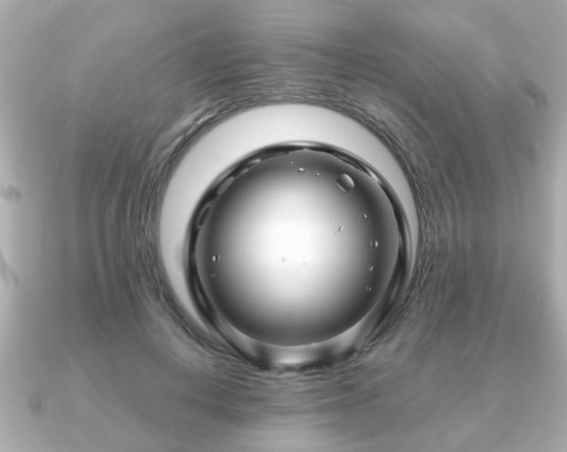 X0000090960648200708091355