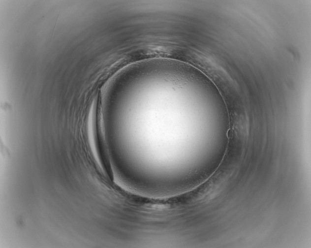 X0000090960649200708091355