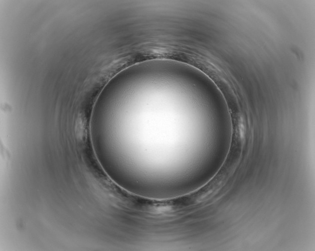 X0000090960651200708091355