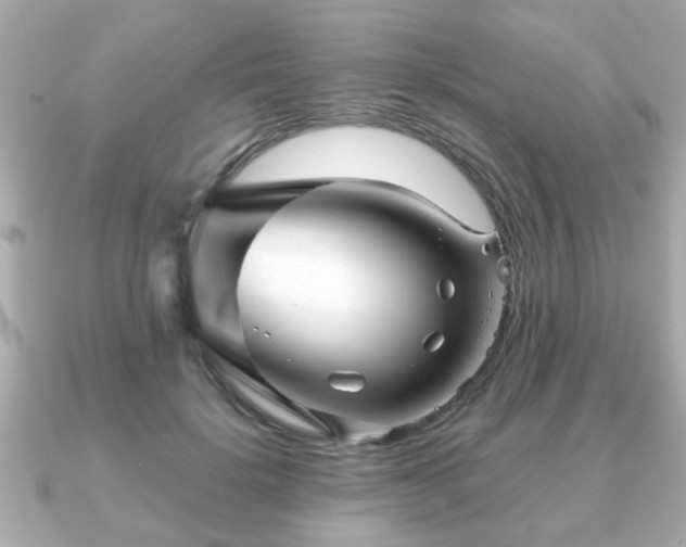 X0000090960652200708091355