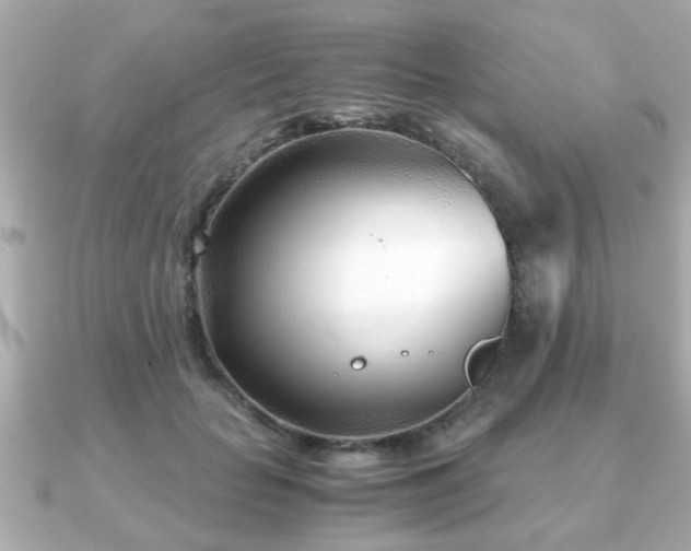 X0000090960653200708091355