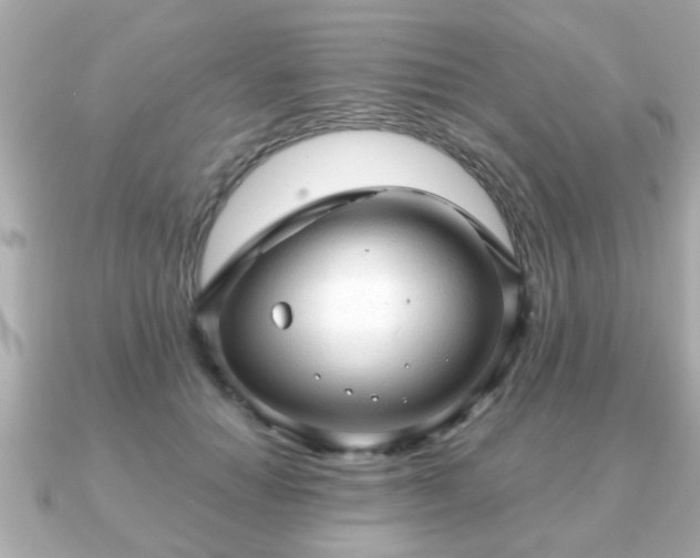 X0000090960654200708091355