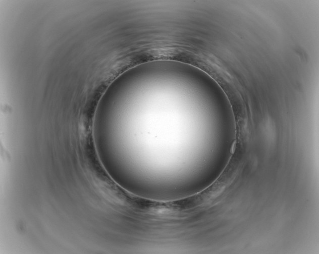 X0000090960655200708091355