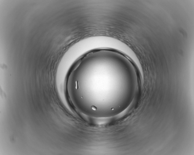 X0000090960656200708091355