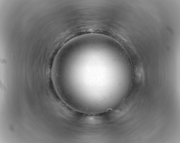 X0000090960657200708091355