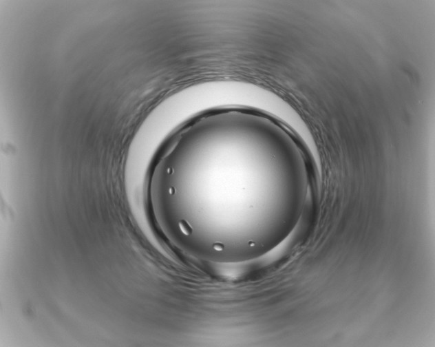X0000090960658200708091355