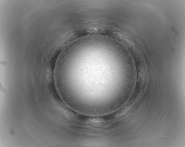 X0000090960659200708091355