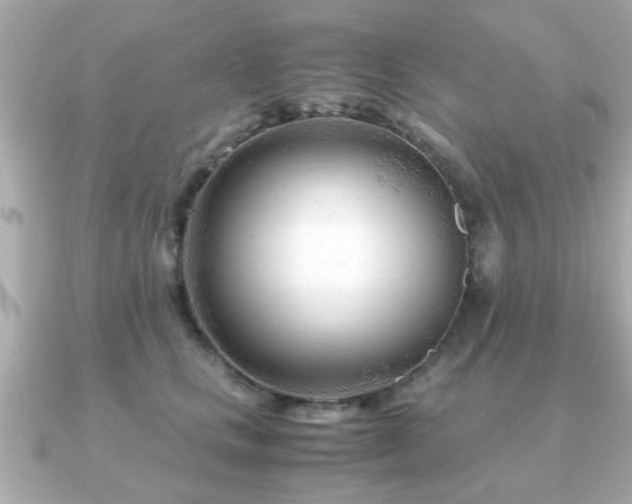 X0000090960661200708091355