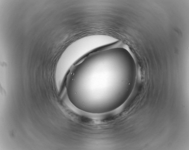 X0000090960662200708091355