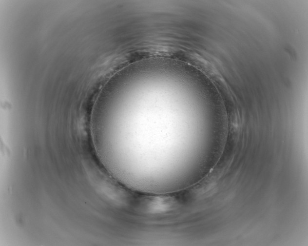 X0000090960663200708091355