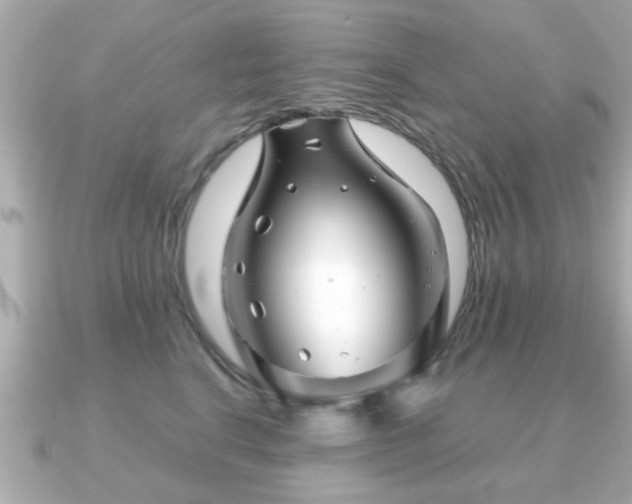 X0000090960664200708091355
