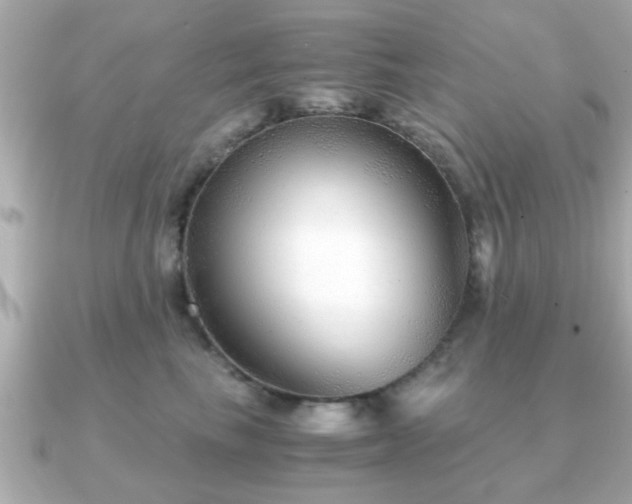 X0000090960665200708091355