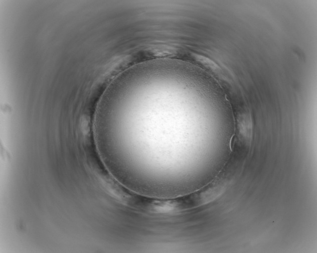 X0000090960667200708091355