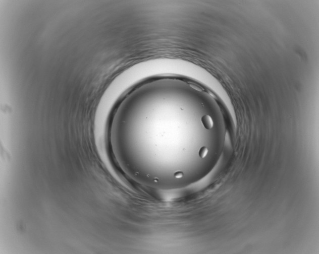 X0000090960668200708091355