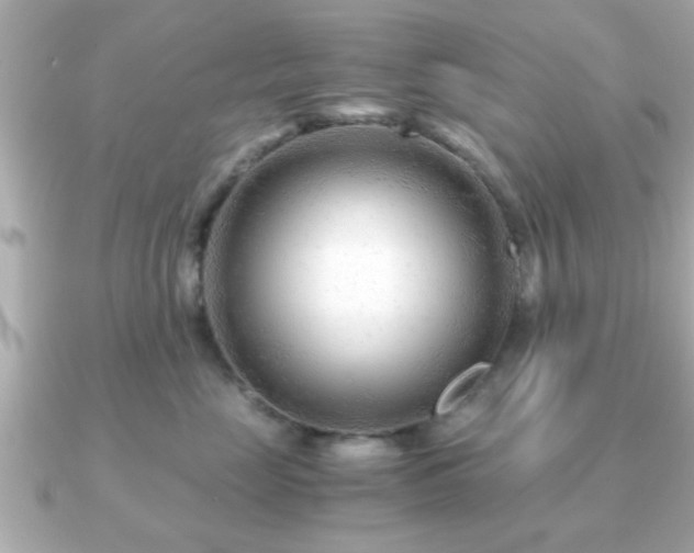 X0000090960669200708091355