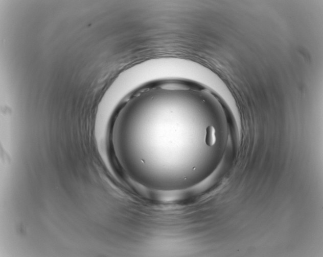 X0000090960670200708091355