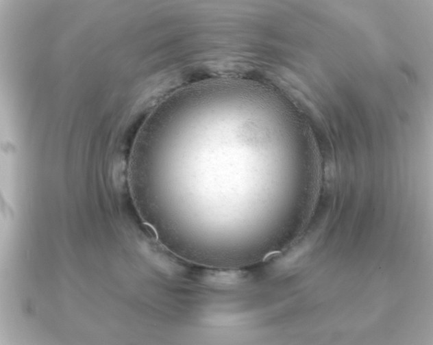X0000090960671200708091355