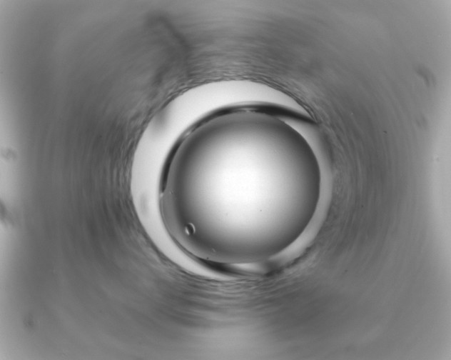 X0000090960672200708091355