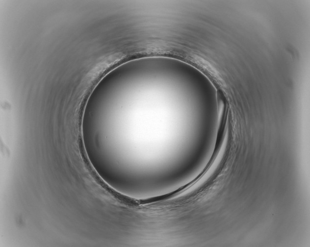 X0000090960673200708091355