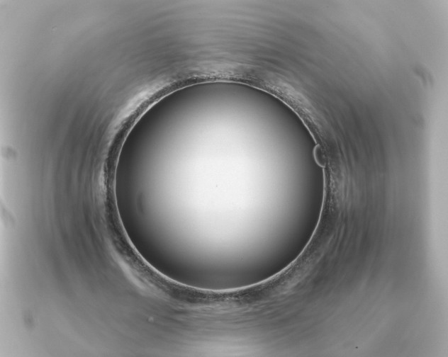 X0000090960674200708091355